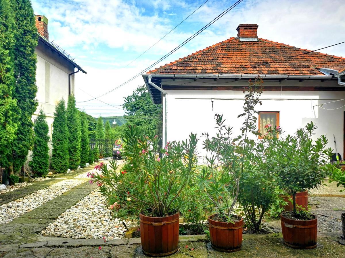 Casa Petrescu Villa Curtea De Arges Exterior photo